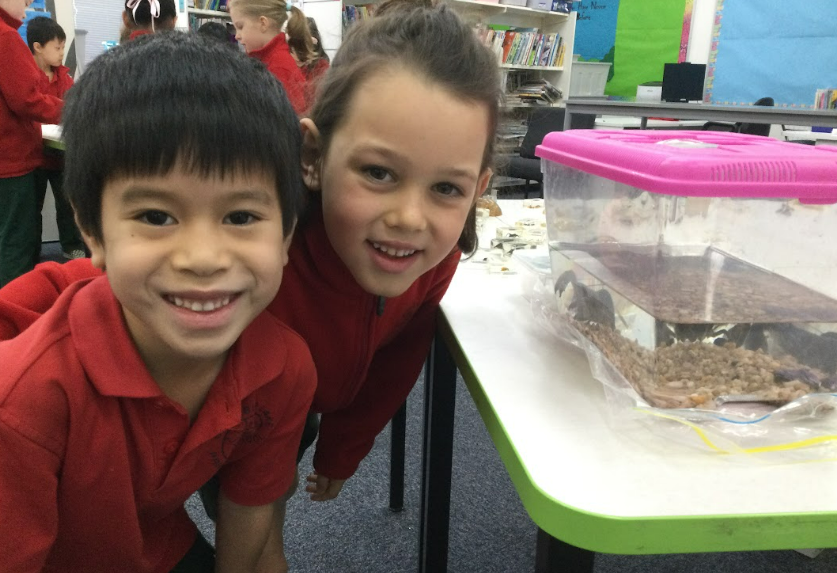 /uploaded_files/media/gallery/1763346259Screenshot 2025-11-17 132248.png